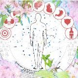 Школа полиморбидности