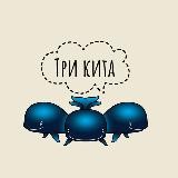 Три кита