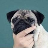 К-новости (ex.- Это Кимры и это новости)