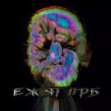 @nfreecp👈🏿👮♂️МЫ ТУТ.