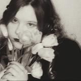 архитектор приколов