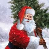 Новогодние поздравления от Деда Мороза 2023🎅🏻🎄❄️