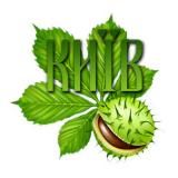 Київ - моє улюблене місто