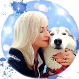 💙ШАРАМЫГА У ПЛИТЫ💙