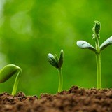 AgroStreamUA