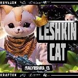 𝐋𝐄𝐒𝐇𝐊𝐈𝐍 𝐂𝐀𝐓