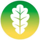 Фонд «ВладимирЛизинг»