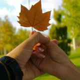 ꧁🐾 YoShLaR 🐾꧂