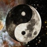 Bushwacker - Bushwhacker Motor Werke