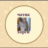Чатик Хорси😼