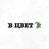 В ЦВЕТ 🐊