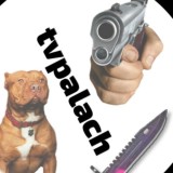 TvPalach