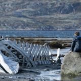 ArcticDiscovery . Новости. Туризм. Путешествия на Кольском.