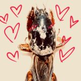 archive of the apathy