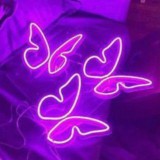 (РЕСТ)𝙉𝙞𝙜𝙝𝙩 𝙗𝙪𝙩𝙩𝙚𝙧𝙛𝙡𝙮 🦋