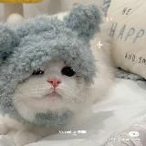 彡sea of love⁺˳✧