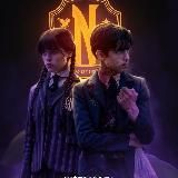 𝐒𝐎𝐋𝐎 𝐋𝐄𝐕𝐄𝐋𝐈𝐍𝐆💰