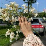 ❤️الإخلاص