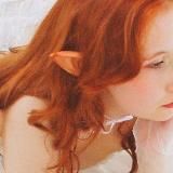 Ёж в поисках икигай