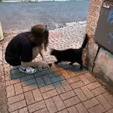 фоточки для аватарки🪼 тг tiktok inst x