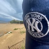 ягода в подъезде