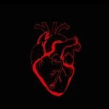 قلب المحارب