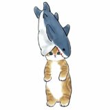 🍂POLEZNO CHAT🍂