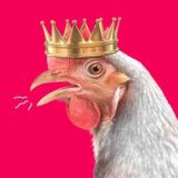 @DGurant @garanttgr @Garant_Exp