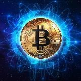 Crypto Invest Statistics - CIS