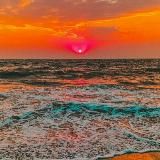 Природа/Nature