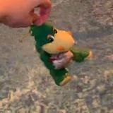 психушка дт