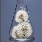 User Crypto Indonesia