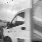 Артем с Булкой и вокруг нее