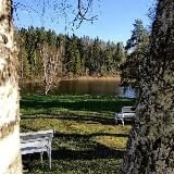 Дом творчества Академическая дача им.И.Е.Репина🍂🌿🎄❄️🖼✏️