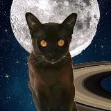 Книгочей Мария и Ко