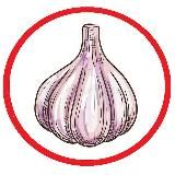 💥ЧеснОк💥