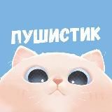 Пушистик 🐶