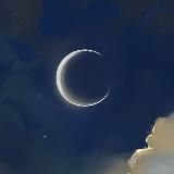 Сибирякова Софья|Художник