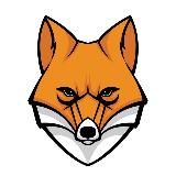 FOXи