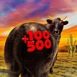 +100500 (Переход)