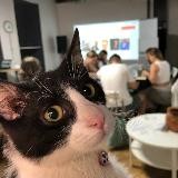 Письма политзаключённым в Тбилиси