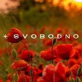 +SVOBODNO_BRAND