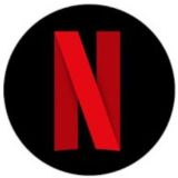 NETFLIX WEB SERIES