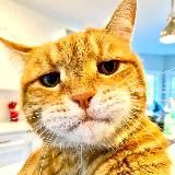 Мастерская Анны🩶