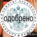 Мотивированный трафик📊