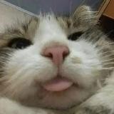 йонв бенд ᶜᵘˡᵗˢˢ
