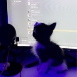 𝖑𝖎𝖛ᴇ𝖝𝖍ᴀʙ♡