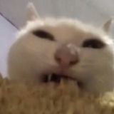 кооператив озеро🌲