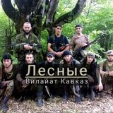 Лесные