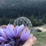 Совет попечителей - БИОсферных поселений|BIOspheral settlements